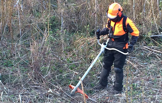 Conquérant Espaces Verts, le specialiste des espaces verts à Caen (14000) dans le Calvados (14)