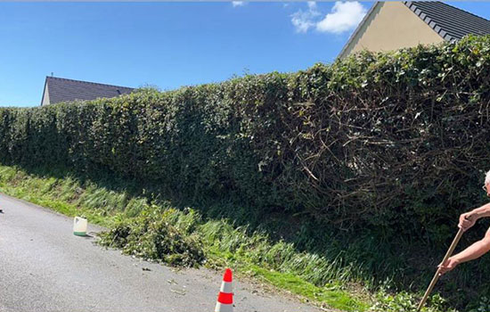 Conquérant Espaces Verts, le specialiste des espaces verts à Caen (14000) dans le Calvados (14)