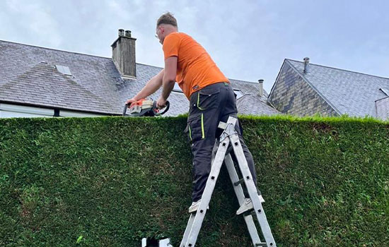 Conquérant Espaces Verts, le specialiste des espaces verts à Caen (14000) dans le Calvados (14)