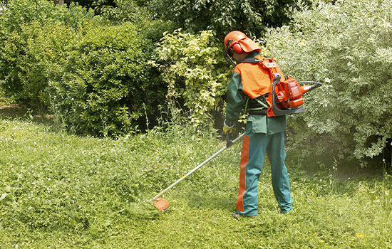 Conquérant Espaces Verts, le specialiste des espaces verts à Caen (14000) dans le Calvados (14)