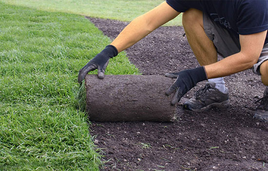 Conquérant Espaces Verts, le specialiste des espaces verts à Caen (14000) dans le Calvados (14)