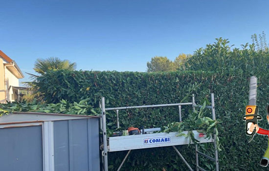 Conquérant Espaces Verts, le specialiste des espaces verts à Caen (14000) dans le Calvados (14)