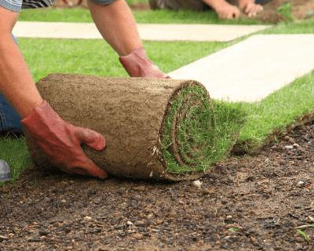 Pour une meilleure fructification de vos arbres à Caen (14000) dans le Calvados (14)